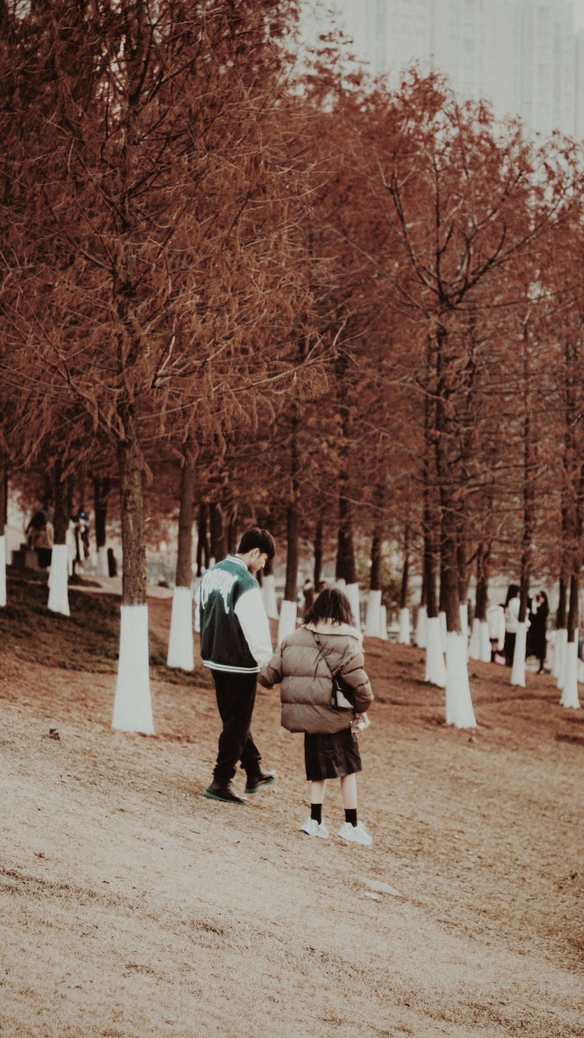 Young couple holding hands walking through park with autumn leaves in background